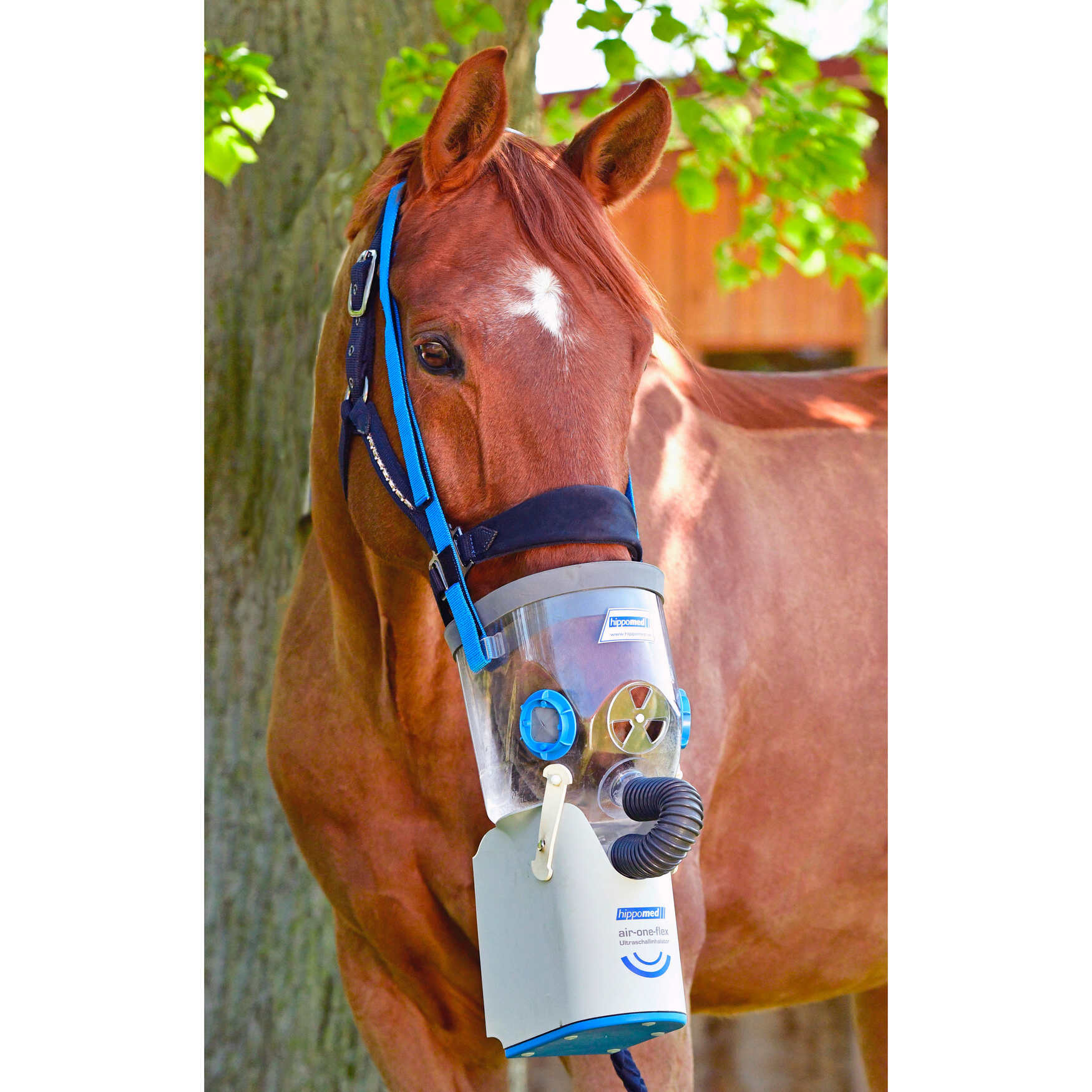 Der PferdeInhalator im Verleih Horse Support