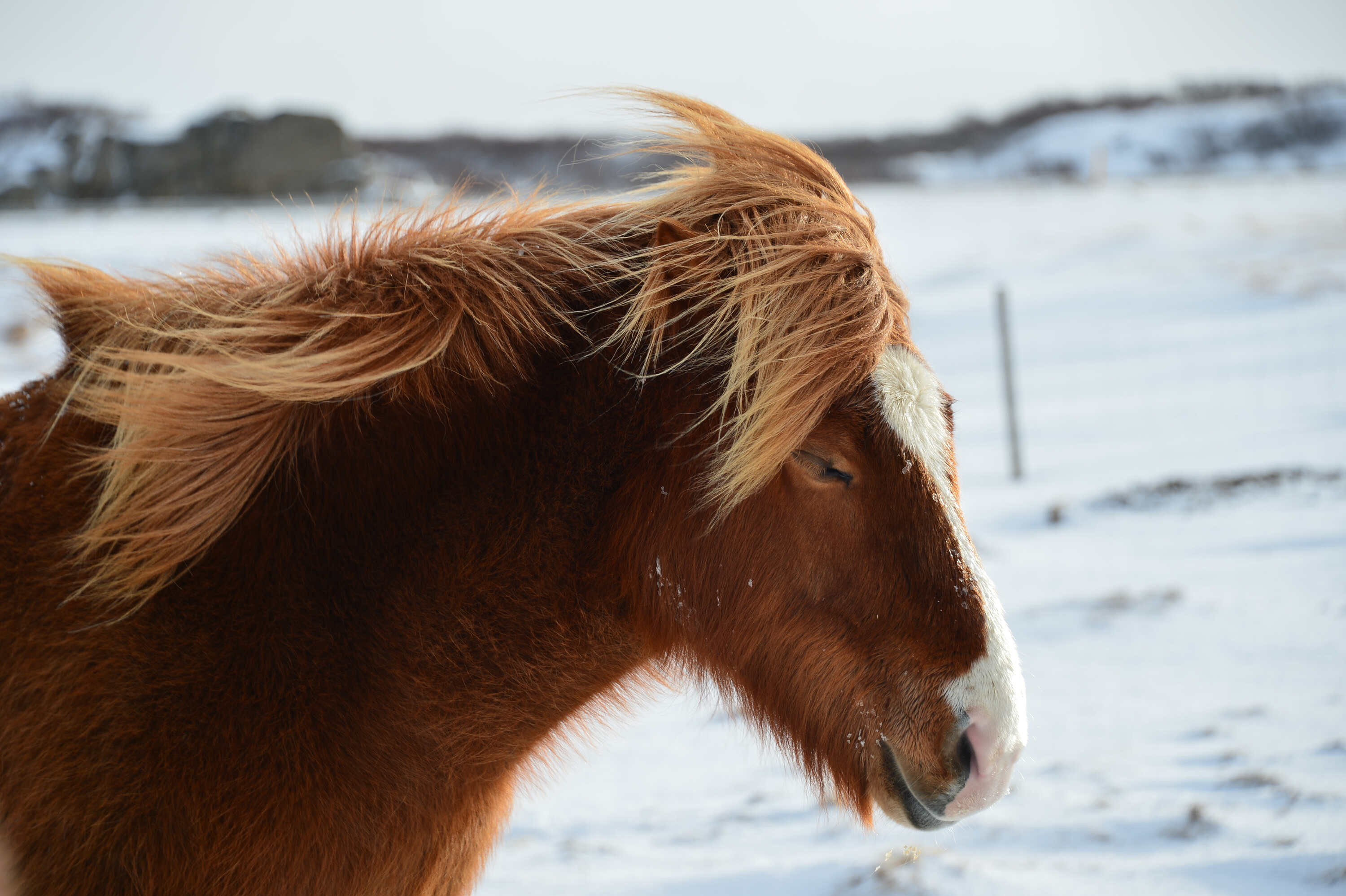Starker Wind, ...